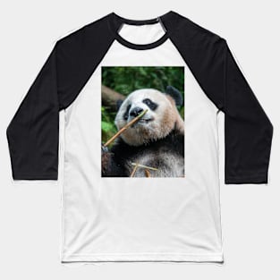 Panda Bamboo Smells Good Baseball T-Shirt